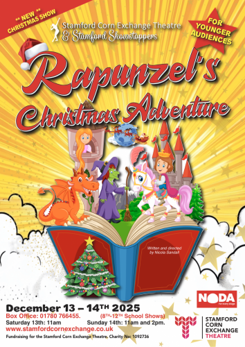 Rapunzel's Christmas Adventure